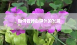 如何看待自媒体的发展