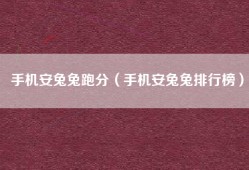 手机安兔兔跑分（手机安兔兔排行榜）