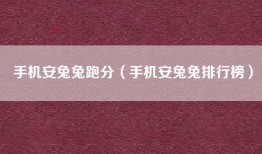 手机安兔兔跑分（手机安兔兔排行榜）