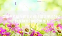 苹果手机信任设置在哪（苹果手机的信任在设置的哪个里面）