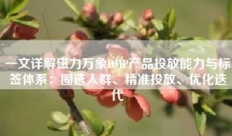 一文详解磁力万象DMP产品投放能力与标签体系：圈选人群、精准投放、优化迭代