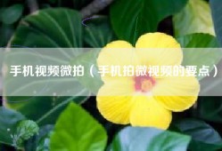 手机视频微拍（手机拍微视频的要点）