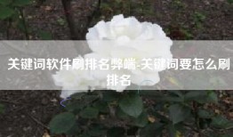 关键词软件刷排名弊端-关键词要怎么刷排名