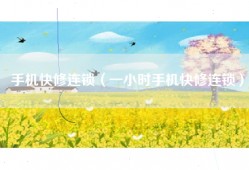 手机快修连锁（一小时手机快修连锁）