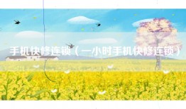 手机快修连锁（一小时手机快修连锁）
