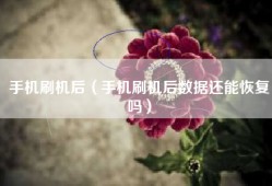 手机刷机后（手机刷机后数据还能恢复吗）