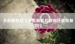 手机刷机后（手机刷机后数据还能恢复吗）