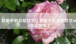 智能手机介绍作文(智能手机介绍作文600字说明文)