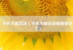 手机不能说话（手机不能说话是哪里坏了）