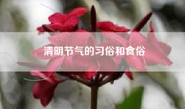 清明节气的习俗和食俗