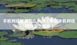手机网络限速怎么解除（电信手机网络限速怎么解除）
