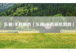 乐视2手机刷机（乐视2手机刷机教程）