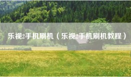 乐视2手机刷机（乐视2手机刷机教程）