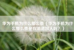 华为手机为什么那么贵（华为手机为什么那么贵是在消遣国人吗？）