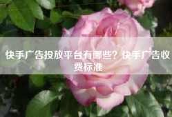 快手广告投放平台有哪些？快手广告收费标准