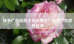 快手广告投放平台有哪些？快手广告收费标准