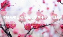 手机来电自动接听（华为手机来电自动接听）