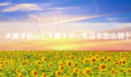 天翼手机4g（天翼手机4g电话卡怎么装）