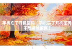 手机忘了开机密码（手机忘了开机密码不想清除数据）