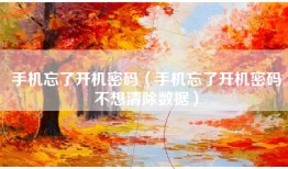 手机忘了开机密码（手机忘了开机密码不想清除数据）