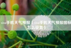 vivo手机天气预报（vivo手机天气预报图标怎么设置）