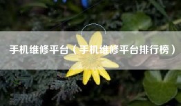手机维修平台（手机维修平台排行榜）