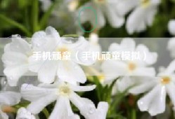 手机顽童（手机顽童模拟）