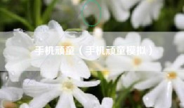 手机顽童（手机顽童模拟）