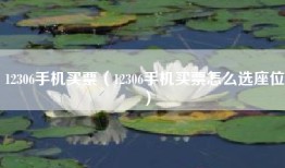 12306手机买票（12306手机买票怎么选座位）