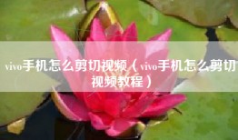 vivo手机怎么剪切视频（vivo手机怎么剪切视频教程）