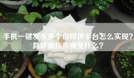 手机一键发布多个自媒体平台怎么实现？具体操作步骤是什么？