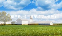三星手机c7（三星手机c7100参数）