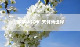 数字人民币  支付新选择