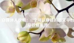 自媒体人收藏：17个可以赚钱的图文平台,及收益渠道!
