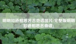 明明知道相思苦吉他谱图片(完整版明明知道相思苦曲谱)