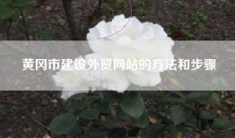 黄冈市建设外贸网站的方法和步骤