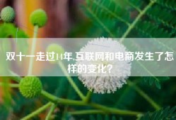 双十一走过14年,互联网和电商发生了怎样的变化？
