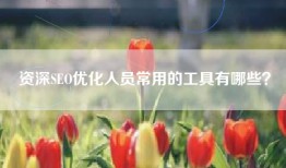 资深SEO优化人员常用的工具有哪些？