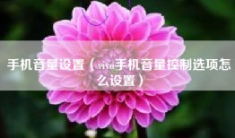 手机音量设置（vivo手机音量控制选项怎么设置）