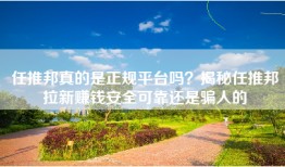 任推邦真的是正规平台吗？揭秘任推邦拉新赚钱安全可靠还是骗人的