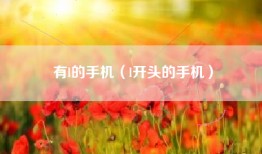 有l的手机（l开头的手机）