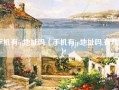 手机有ip地址吗（手机有ip地址吗,有几个）