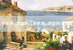 手机有ip地址吗（手机有ip地址吗,有几个）