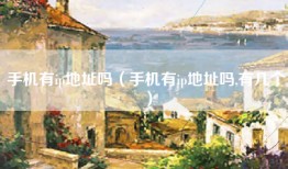 手机有ip地址吗（手机有ip地址吗,有几个）