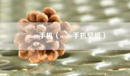 mate手机（mate手机壁纸）