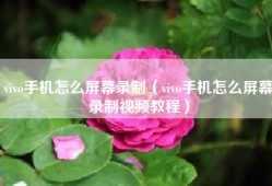 vivo手机怎么屏幕录制（vivo手机怎么屏幕录制视频教程）