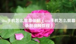 vivo手机怎么屏幕录制（vivo手机怎么屏幕录制视频教程）