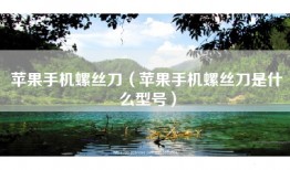 苹果手机螺丝刀（苹果手机螺丝刀是什么型号）