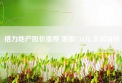 格力地产股价涨停 现报7.16元,乐居财经