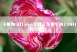 手机如何打开exe文件（苹果手机如何打开exe文件）